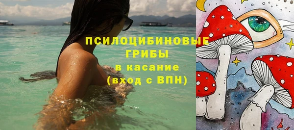бошки Алексеевка