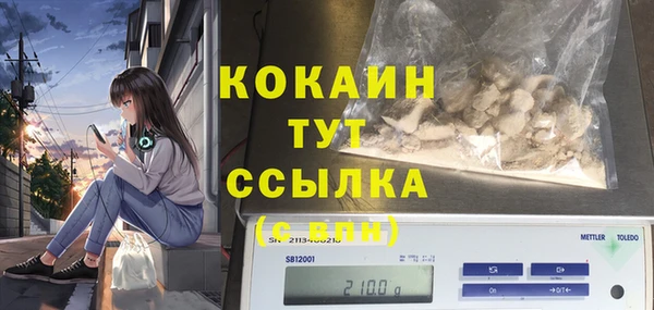 скорость Алзамай