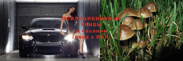 скорость Алзамай