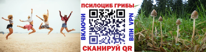 Галлюциногенные грибы Magic Shrooms  Нижняя Салда 